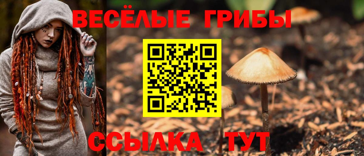 Псилоцибиновые грибы GOLDEN TEACHER Шебекино