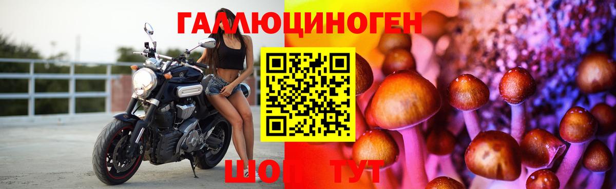 Галлюциногенные грибы GOLDEN TEACHER  Вход с VPN  Шебекино  Псилоцибиновые грибы мухоморы 
